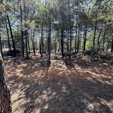 Appartement Au Bord De Mer Saint-Brévin-les-Pins Dış mekan fotoğraf