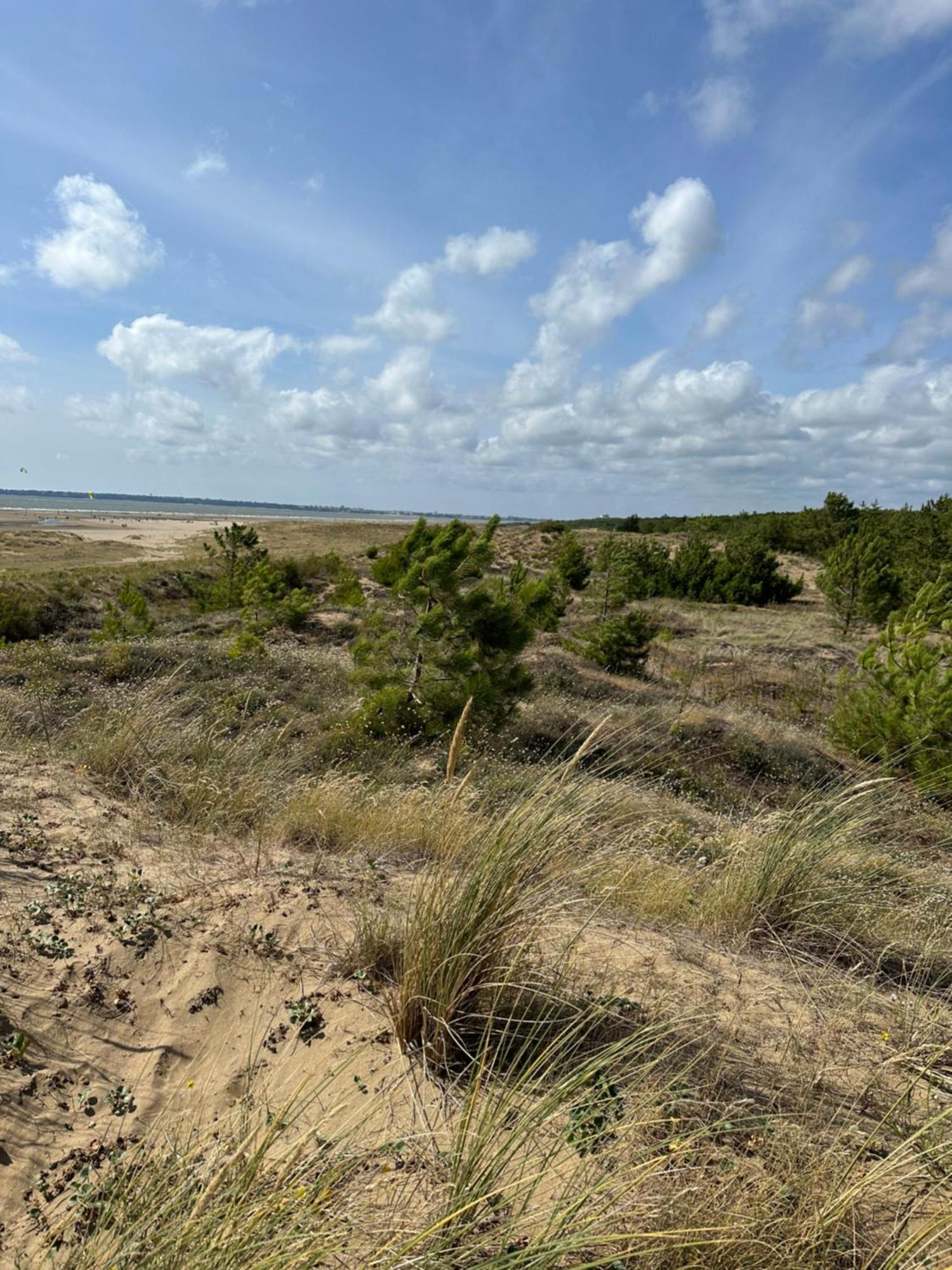 Appartement Au Bord De Mer Saint-Brévin-les-Pins Dış mekan fotoğraf