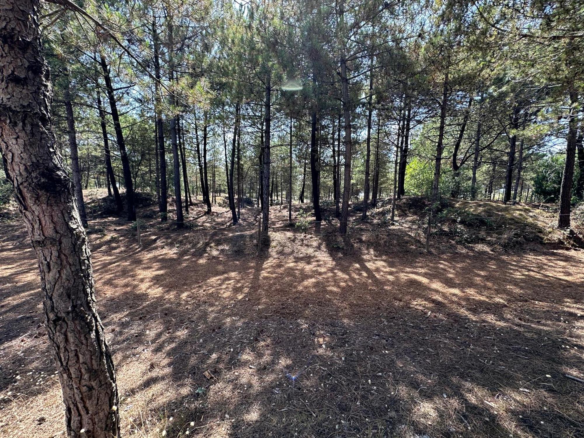 Appartement Au Bord De Mer Saint-Brévin-les-Pins Dış mekan fotoğraf